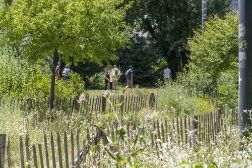 Parc Flaubert